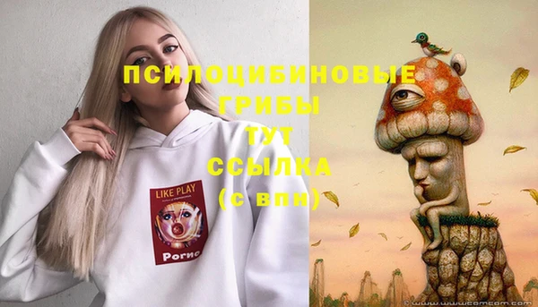 бутират Баксан
